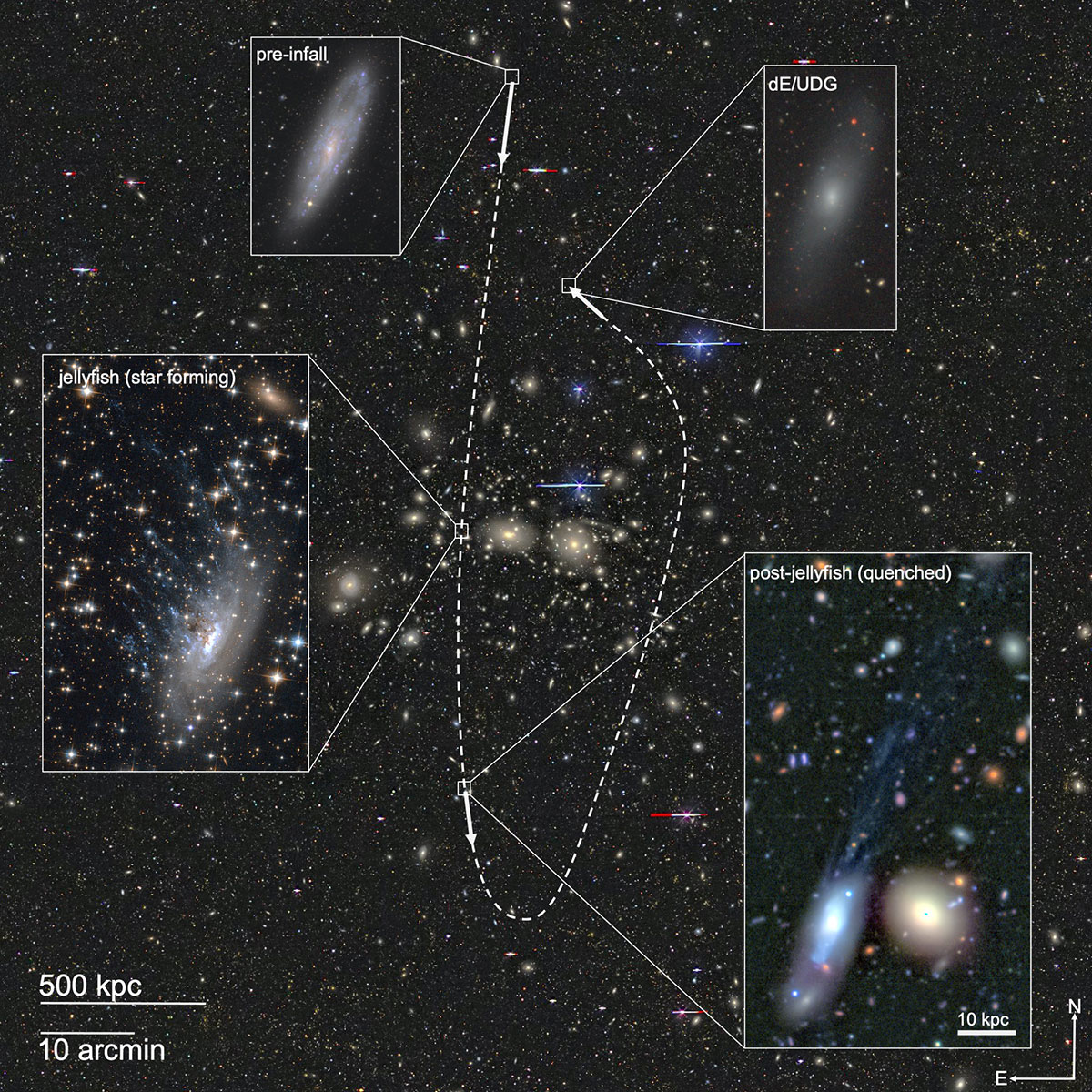 Астрофизики МГУ впервые установили доминирующий канал формирования ультрадиффузных галактик
